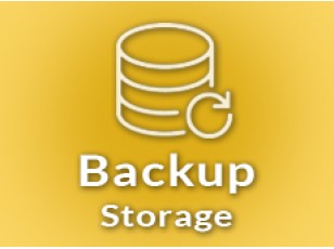 Backup storage